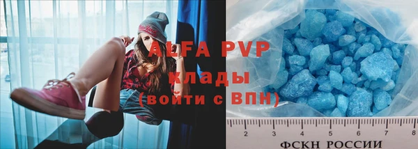 прущие грибы Гусь-Хрустальный