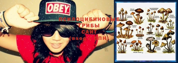 экстази Гусиноозёрск