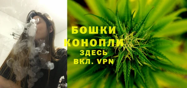 твердый Аркадак