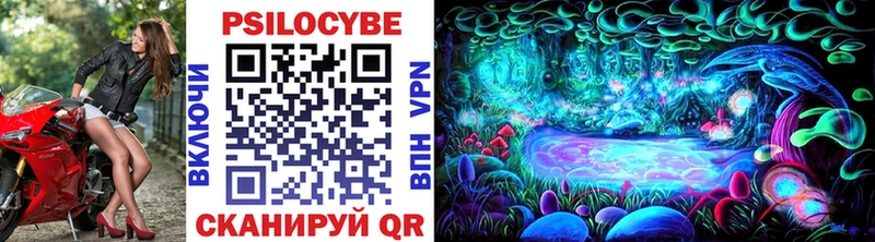 Галлюциногенные грибы прущие грибы  Губкин 