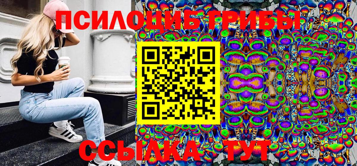 Губкин  Псилоцибиновые грибы ЛСД  Вход с VPN 