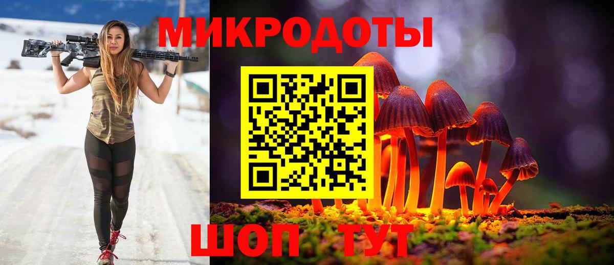 Галлюциногенные грибы мухоморы Губкин