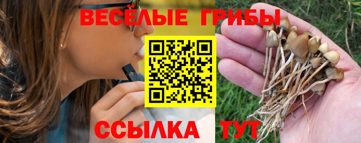 Псилоцибиновые грибы GOLDEN TEACHER Губкин